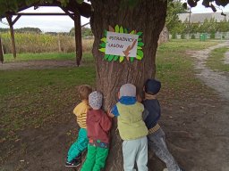 2025-09-18 Przytul się do drzewa